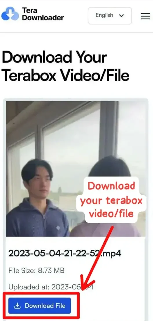 Download TeraBox video or file directly using TeraBox Video Downloader