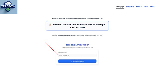 TeraBox APK vs Downloader homepage tool interface showing empty URL input for instant file download in 2025