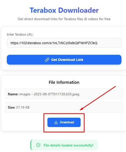 Best TeraBox Downloader 2025 showing file details loaded successfully with direct download button