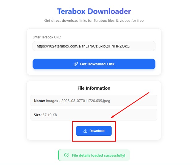 TeraBox slow download speed fix TeraBox slow download speed fix online tool screenshot